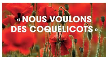 coquelicot